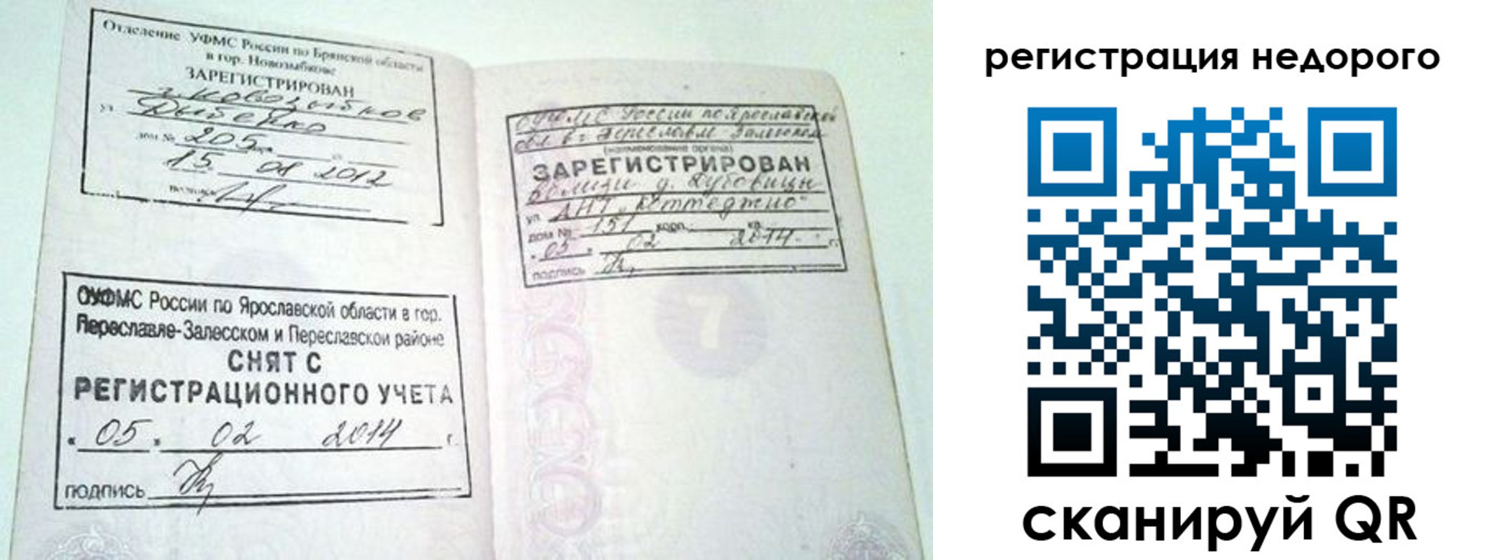 прописка поиск в Торопеце